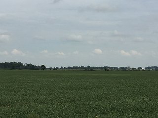 Property photo 20 - FARMLAND AUCTION - 436+/- ACRES IN 10 TRACTS IN AUGLAIZE COUNTY, OH